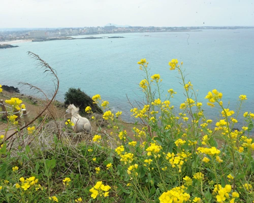 20160331002961_0_99_20160401103311.jpg?type=w540