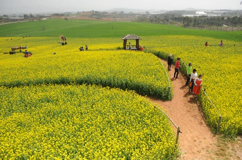 20160414002954_0_99_20160415100307.jpg?type=w540