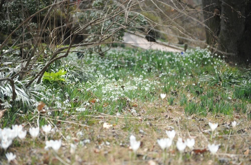 20160324002885_0_99_20160325103208.jpg?type=w540