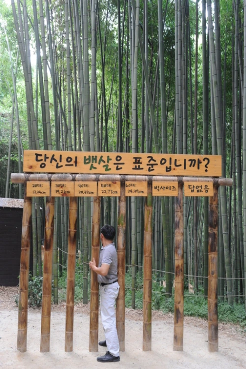 20160831002806_0_99_20160901140314.jpg?type=w540