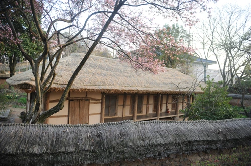 20160414003019_0_99_20160415100220.jpg?type=w540