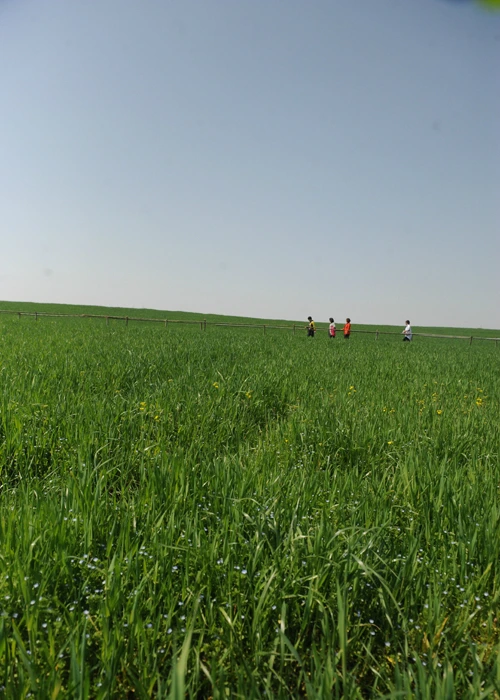 20160414002942_0_99_20160415100307.jpg?type=w540