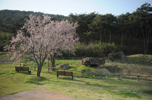 20160414003013_0_99_20160415100220.jpg?type=w540