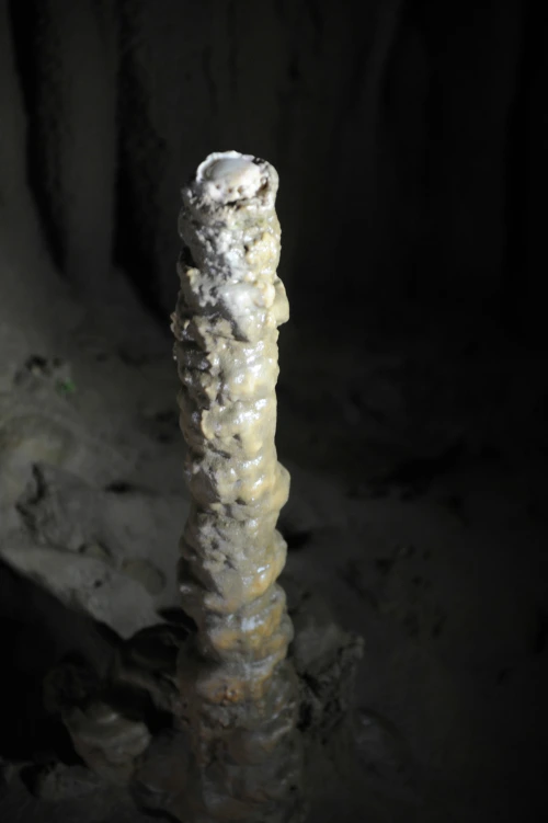 20160629002936_0_99_20160630100420.jpg?type=w540