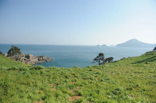 20160421002611_0_99_20160422160504.jpg?type=w540