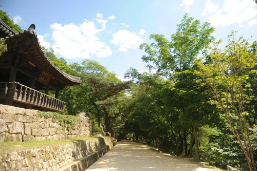 20160608002878_0_99_20160609103321.jpg?type=w540