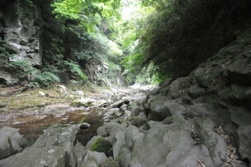 20160615002702_0_99_20160616100326.jpg?type=w540