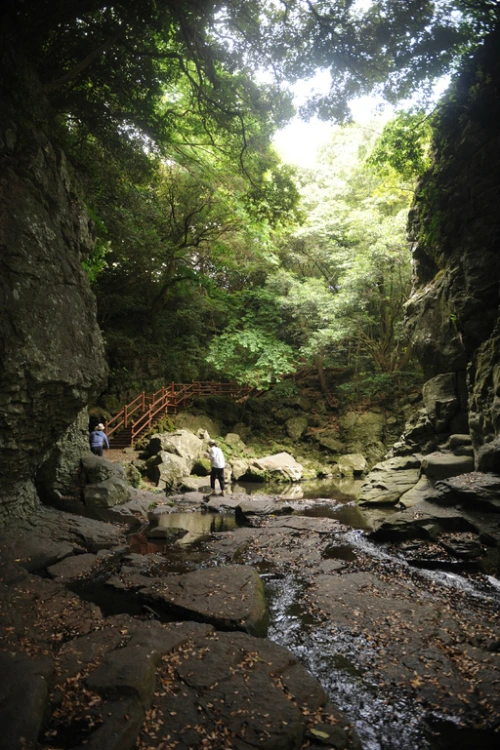 20160615002692_0_99_20160616100326.jpg?type=w540