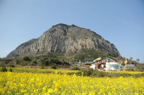 20160331002971_0_99_20160401103311.jpg?type=w540