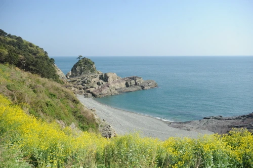 20160421002606_0_99_20160422160504.jpg?type=w540