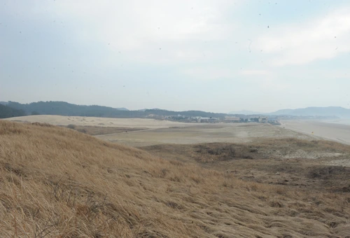 20160324003031_0_99_20160325103220.jpg?type=w540