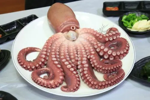 20160211002569_0_99_20160212143313.jpg?type=w540