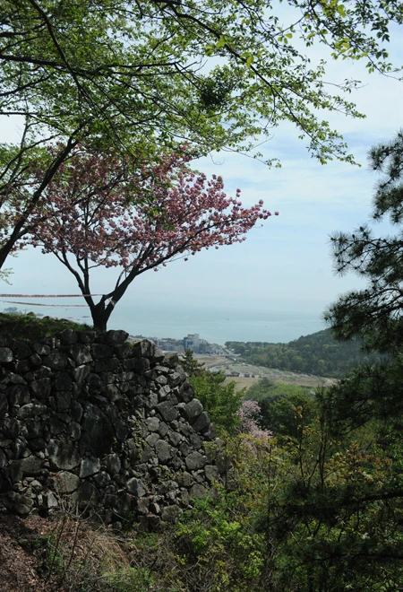 20160428002949_0_99_20160429103221.jpg?type=w540