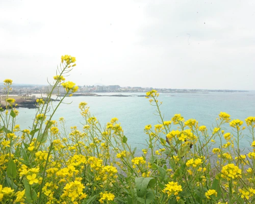 20160331002959_0_99_20160401103311.jpg?type=w540