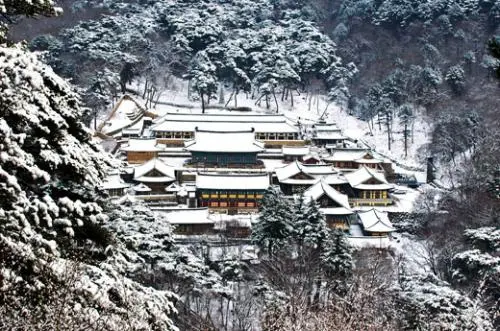 20160121003177_0_99_20160122100411.jpg?type=w540