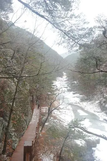 20160211002476_0_99_20160212143308.jpg?type=w540