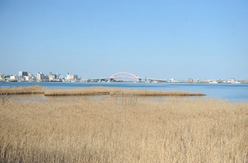 20160317002832_0_99_20160318103227.jpg?type=w540