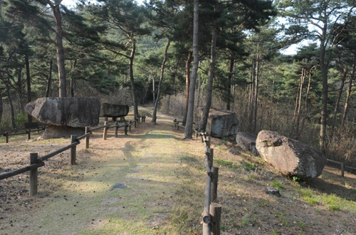 20160414003009_0_99_20160415100220.jpg?type=w540