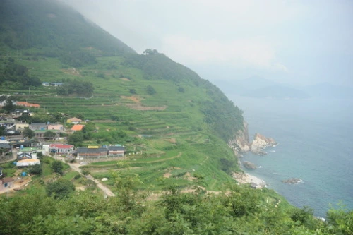 20160810002996_0_99_20160811140319.jpg?type=w540