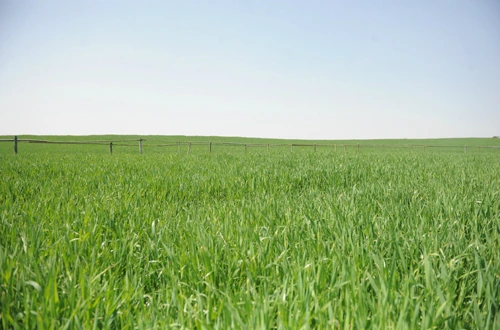 20160414002943_0_99_20160415100307.jpg?type=w540