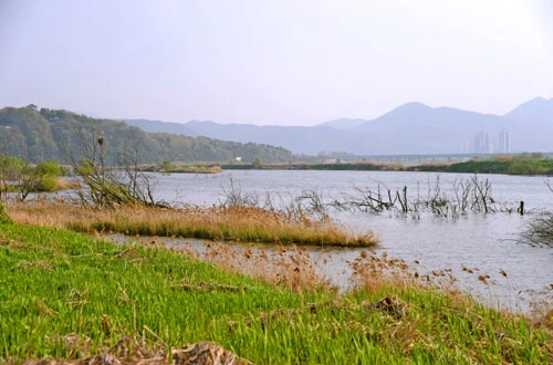 20160505001259_0_99_20160511170906.jpg?type=w540