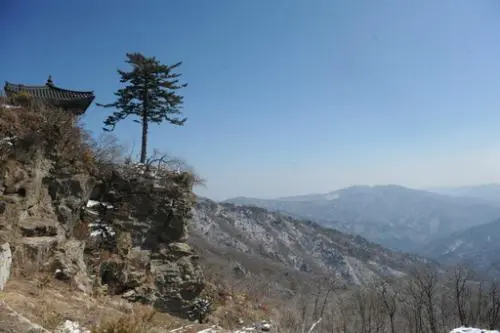 20160303002617_0_99_20160303214006.jpg?type=w540