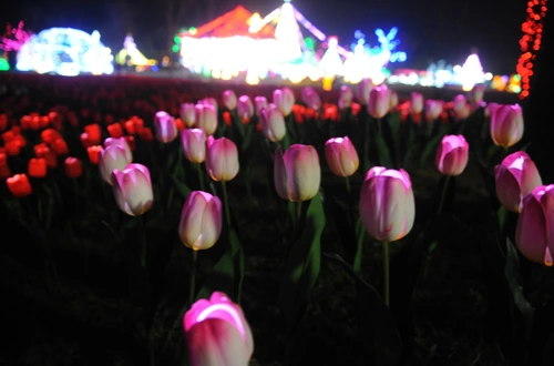 20160324003001_0_99_20160325103220.jpg?type=w540