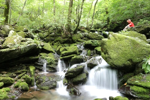 20160803002402_0_99_20160804140232.jpg?type=w540