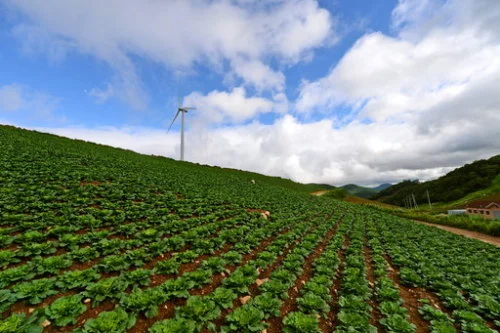 20160720002803_0_99_20160721140523.jpg?type=w540