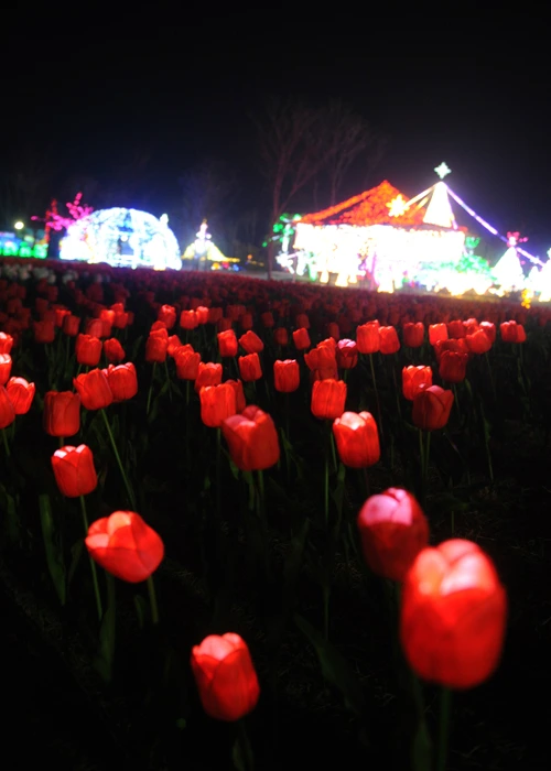 20160324003002_0_99_20160325103220.jpg?type=w540