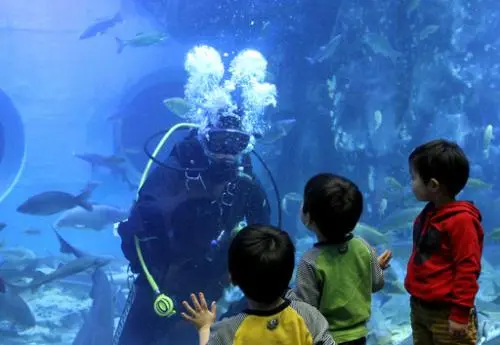 20160218002653_0_99_20160219100312.jpg?type=w540