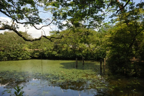 20160713002665_0_99_20160714100417.jpg?type=w540