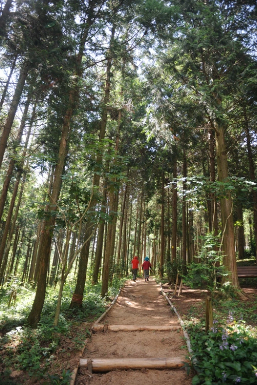 20160713002662_0_99_20160714100417.jpg?type=w540