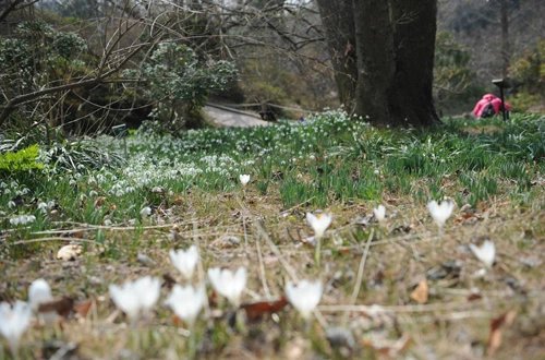 20160324002886_0_99_20160325103208.jpg?type=w540