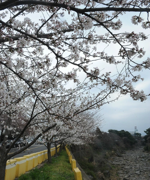 20160331002976_0_99_20160401103311.jpg?type=w540