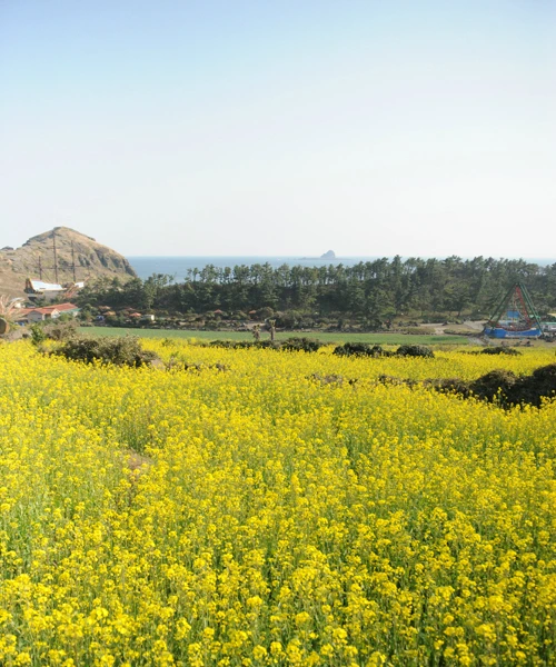 20160331002963_0_99_20160401103311.jpg?type=w540