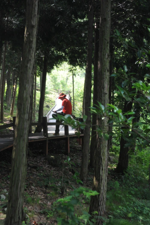 20160713002658_0_99_20160714100417.jpg?type=w540