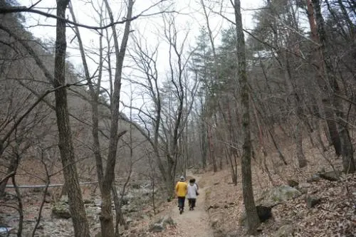 20160211002453_0_99_20160212143308.jpg?type=w540