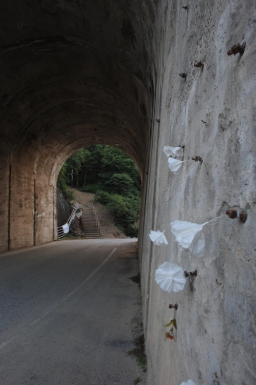 20160817002733_0_99_20160818103312.jpg?type=w540