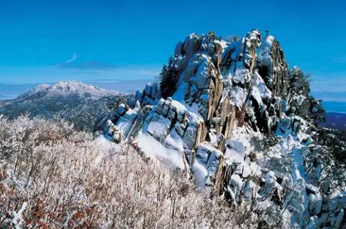 20160121003174_0_99_20160122100411.jpg?type=w540