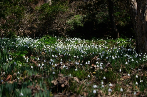 20160324002901_0_99_20160325103208.jpg?type=w540