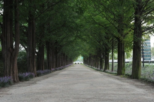 20160831002813_0_99_20160901140314.jpg?type=w540