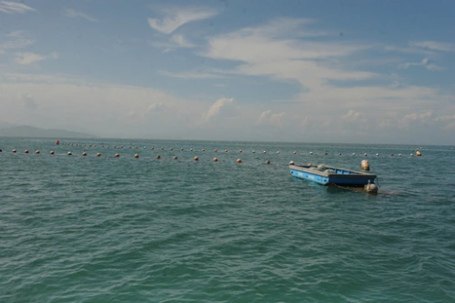 20160713002778_0_99_20160714100408.jpg?type=w540