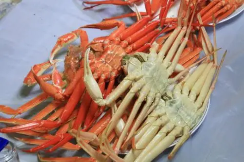 20160211002553_0_99_20160212143313.jpg?type=w540