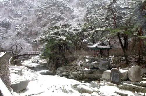 20160121003270_0_99_20160122100421.jpg?type=w540