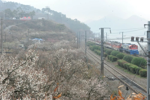 20160310002804_0_99_20160311103214.jpg?type=w540