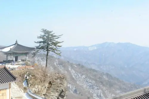 20160303002614_0_99_20160303214006.jpg?type=w540