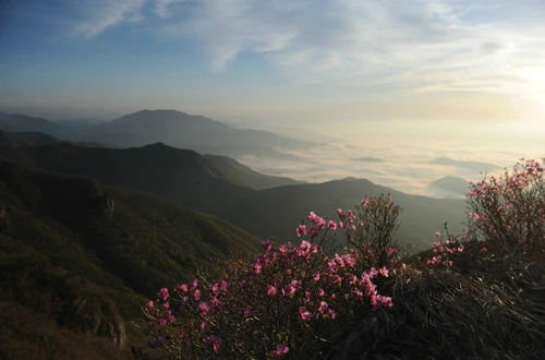 20160428002813_0_99_20160429112504.jpg?type=w540