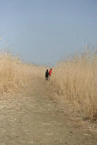 20160225003109_0_99_20160225193104.jpg?type=w540