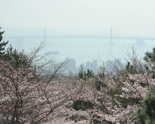 20160407002671_0_99_20160408131704.jpg?type=w540